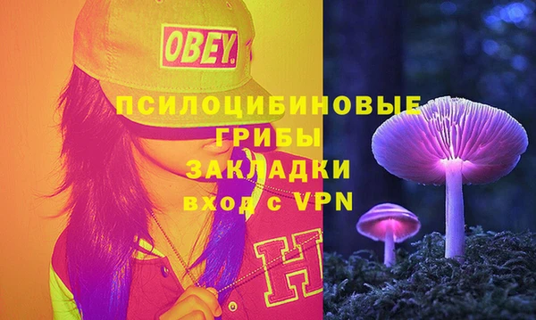 jwh Белокуриха