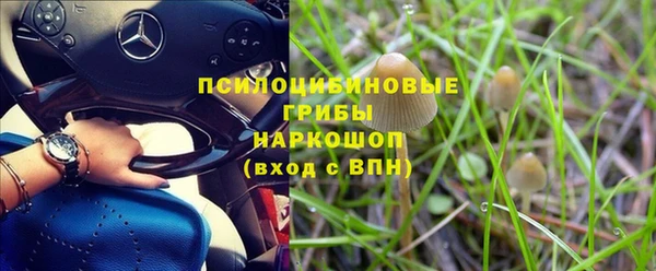 jwh Белокуриха