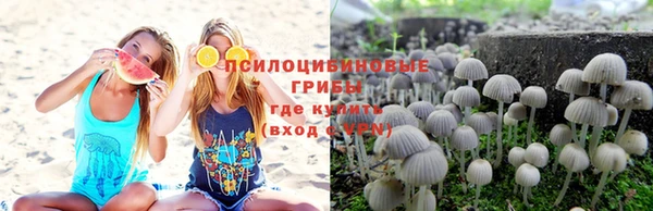 jwh Белокуриха