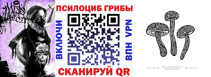 Псилоцибиновые грибы MAGIC MUSHROOMS  Дагестанские Огни 